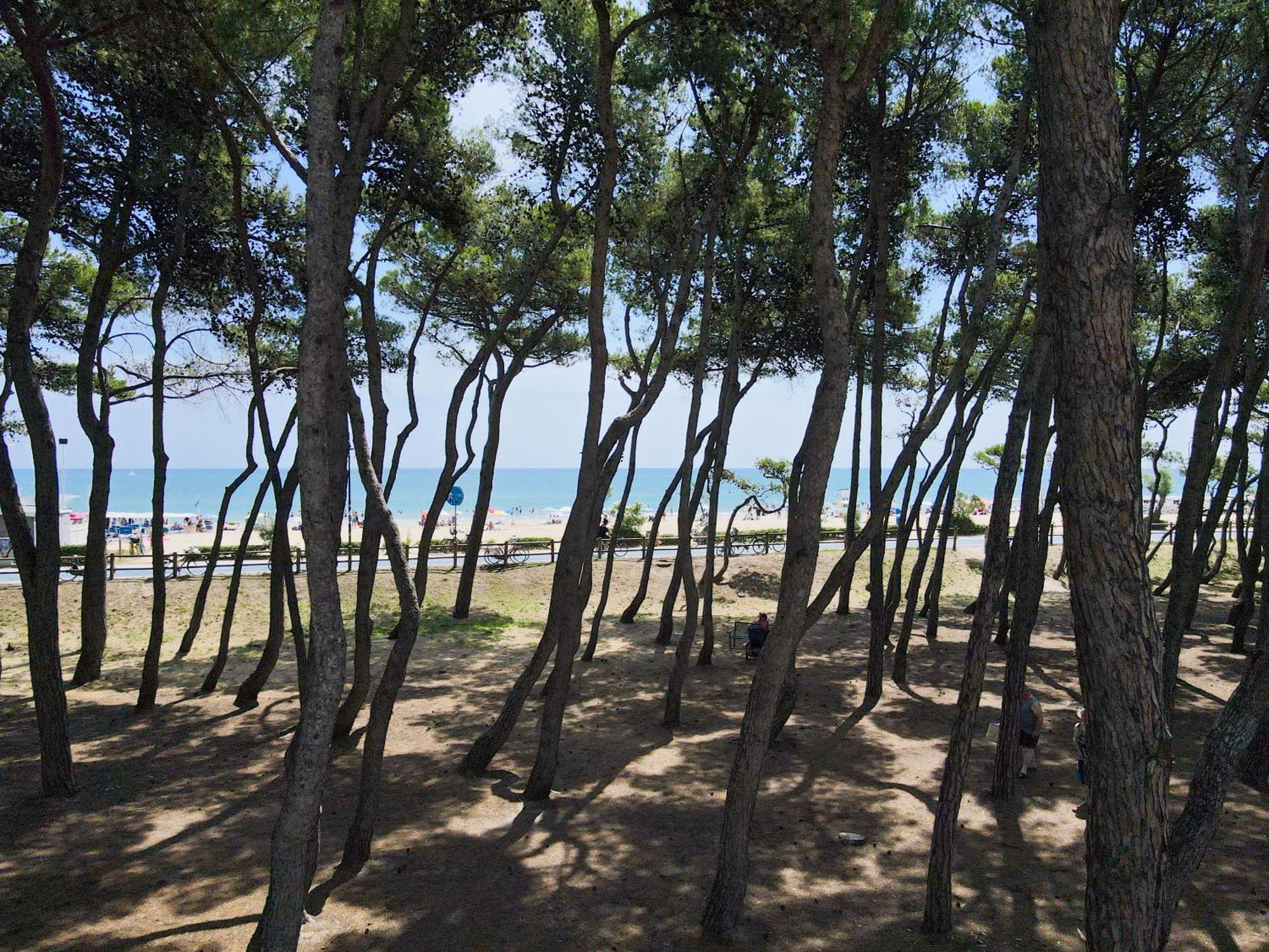 Residence Pineta Mare Alba Adriatica Exterior photo